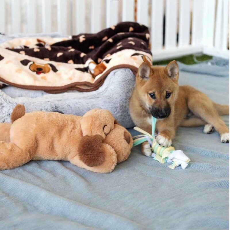 Jouet apaisant pour chien – Image 5