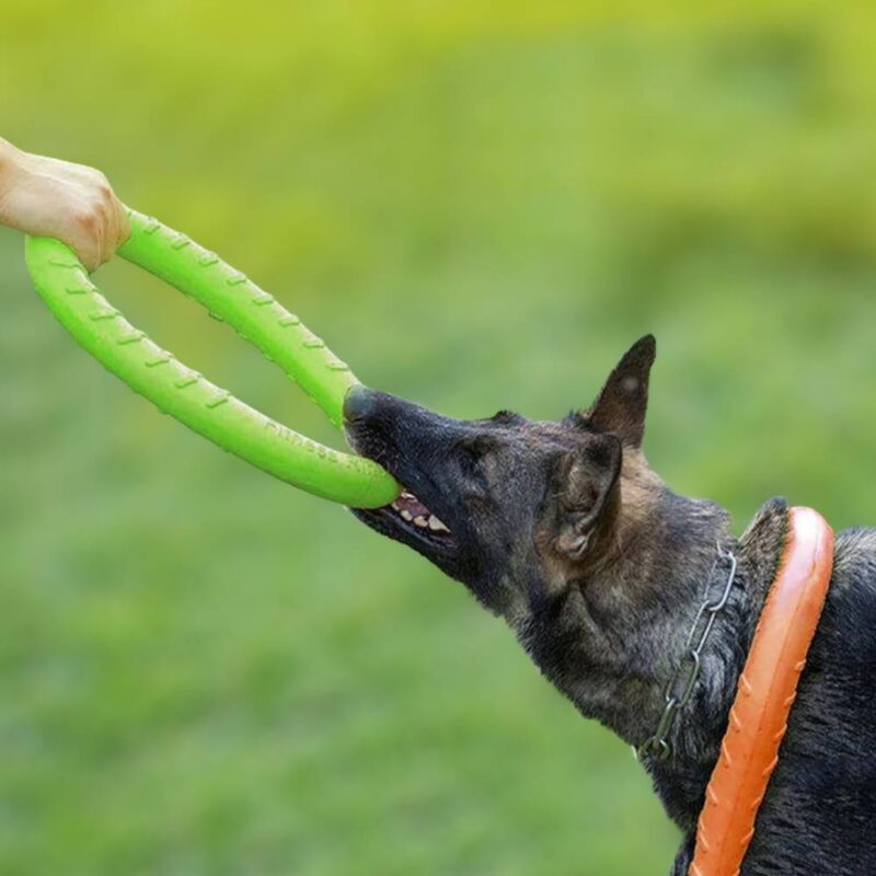 Anneau de jeu pour chien – Image 2