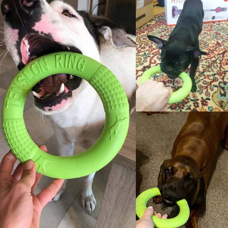 Anneau de jeu pour chien – Image 3