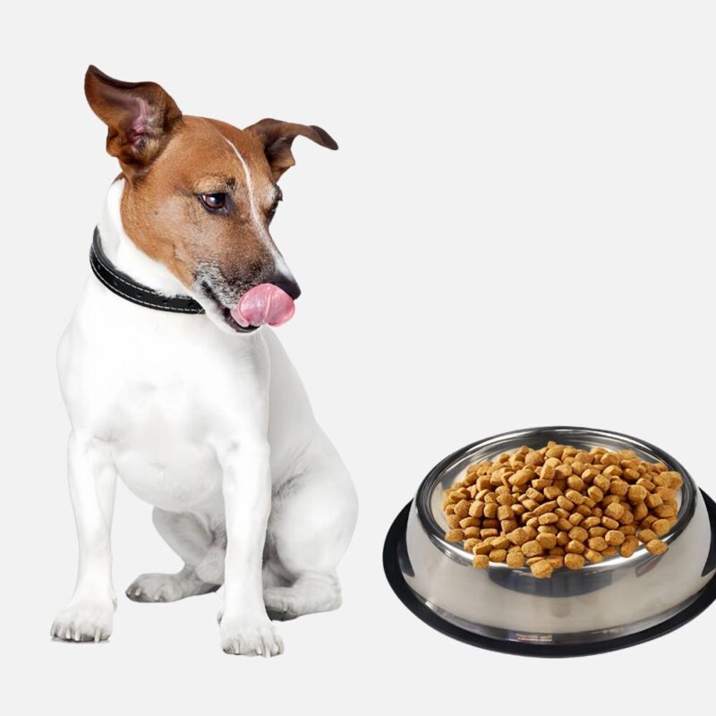 Bol pour chien en inox antidérapant – Image 2