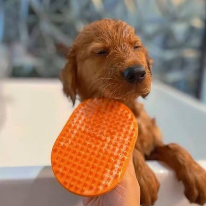 Brosse de bain pour chien – Image 3