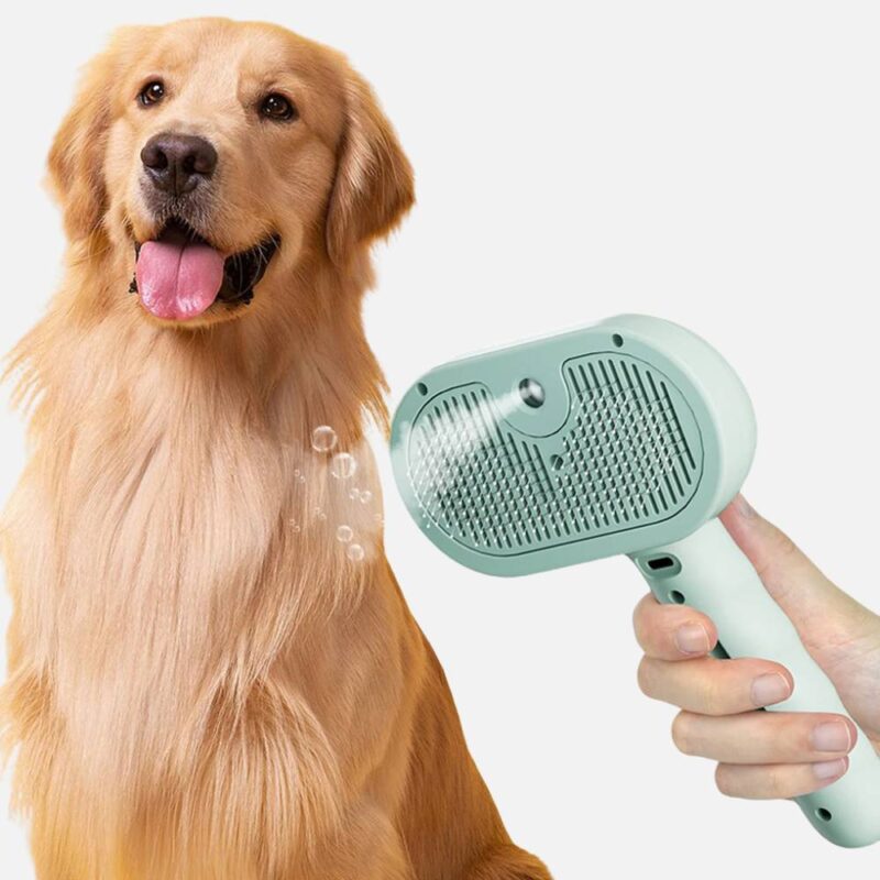Brosse de toilettage pour chien avec vapeur – Image 2