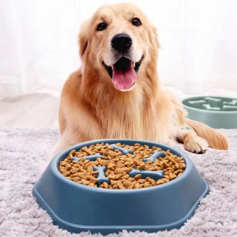 Gamelle anti glouton pour chien – Image 2
