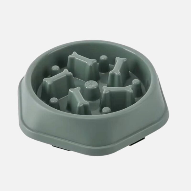 Gamelle anti glouton pour chien – Image 3