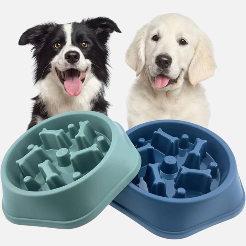 Gamelle anti glouton pour chien – Image 4