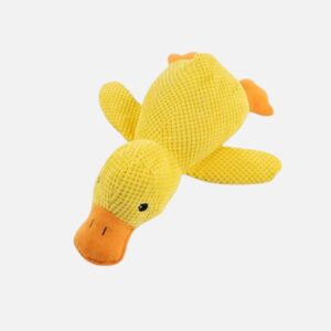 Jouet peluche canard pour chien