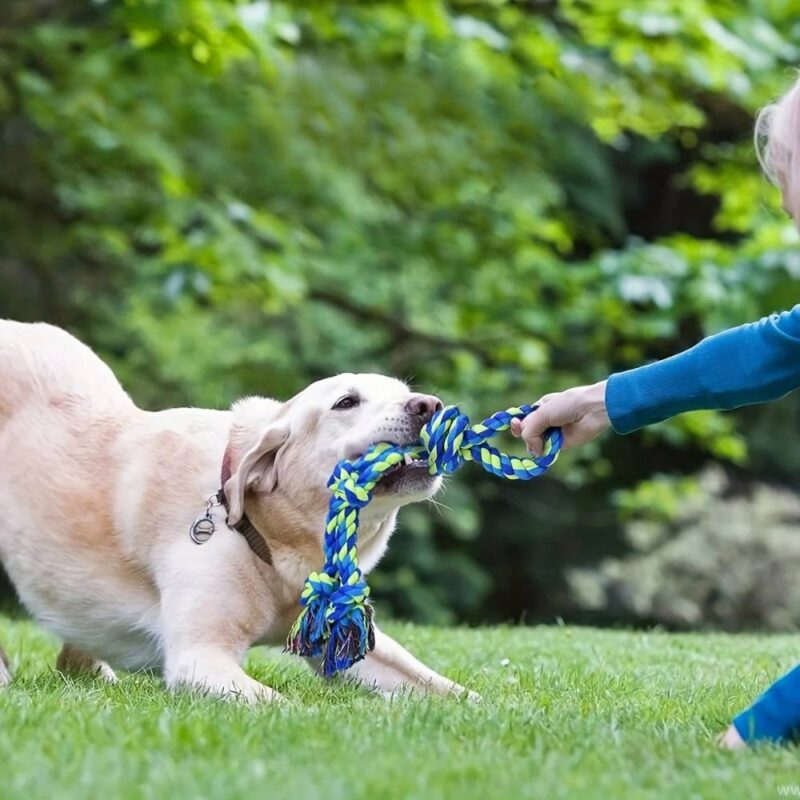 Jouet corde pour chien – Image 3