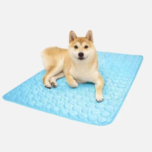 Tapis rafraîchissant pour chien
