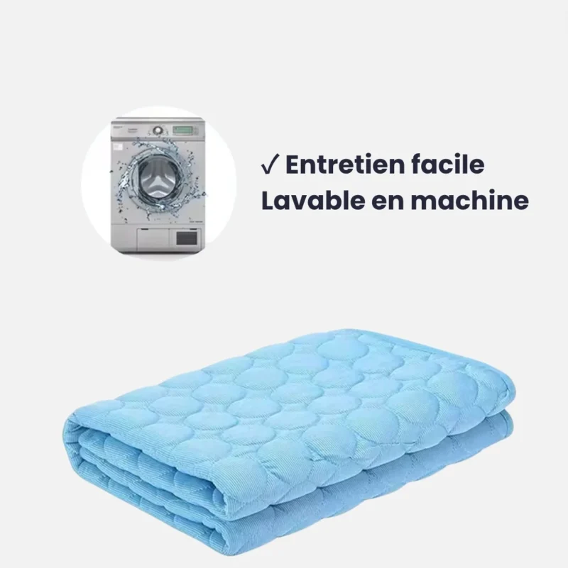 Tapis rafraîchissant pour chien – Image 2