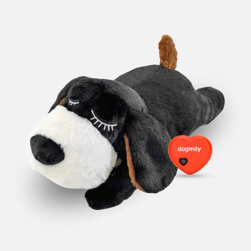 Dogmily™ – Jouet apaisant battement de cœur pour chien – Image 7