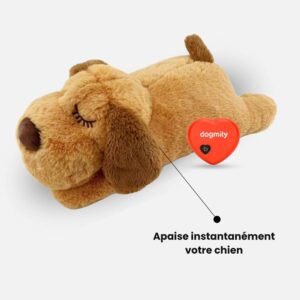 Dogmily™ – Jouet apaisant battement de cœur pour chien