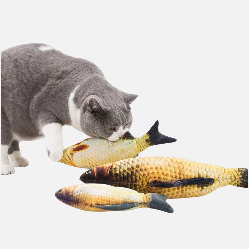 Jouet poisson pour chat
