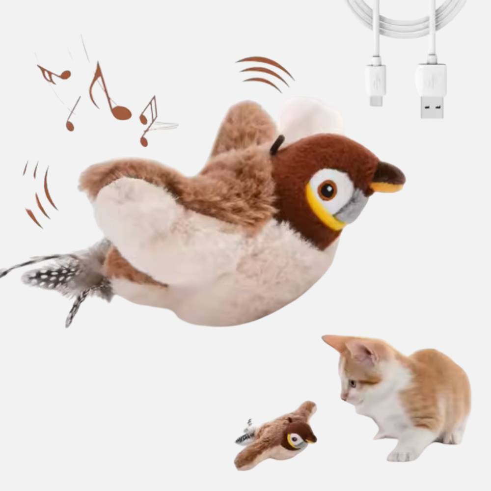 Jouet interactif oiseau pour chat